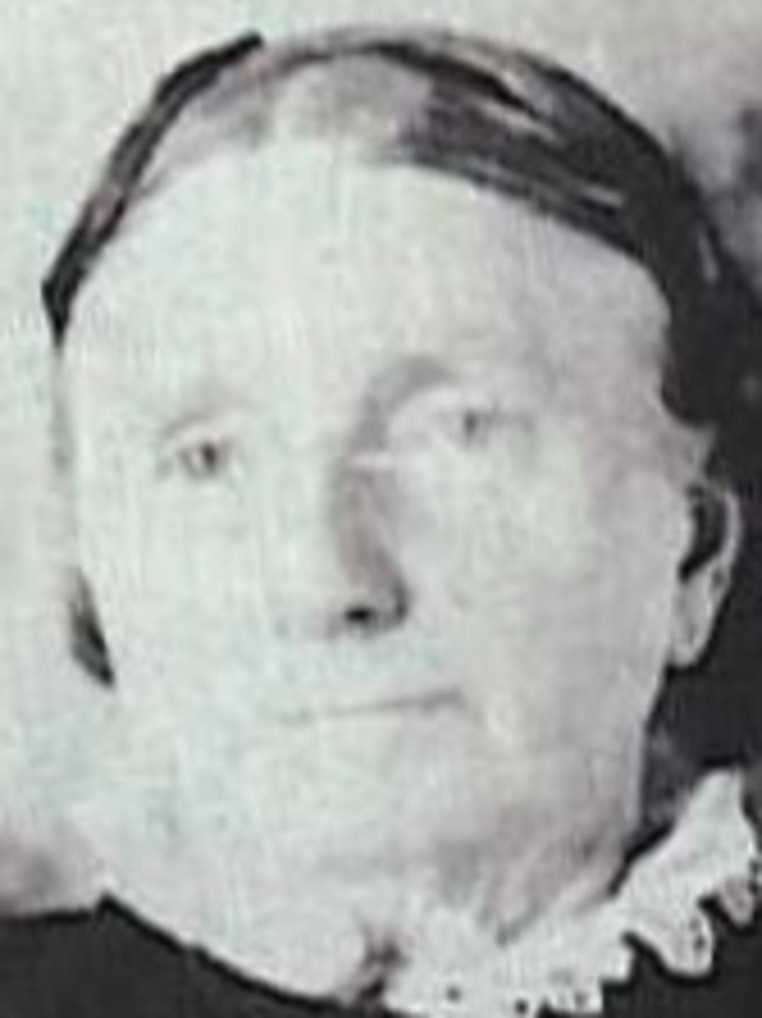 Mary Elizabeth Lemmon (1838 - 1878) Profile